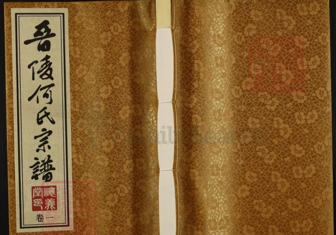 江苏常州晋陵何氏宗谱（让义堂）-中华家谱网