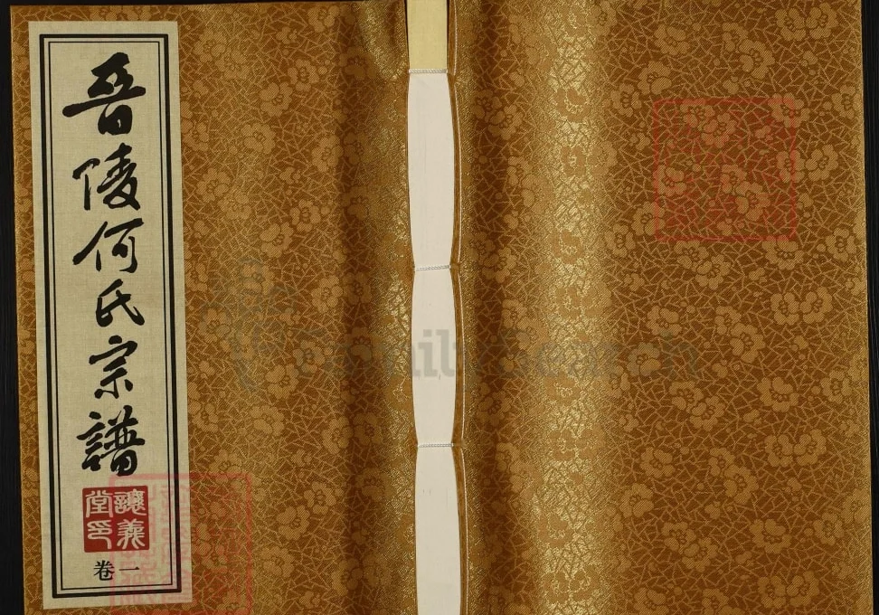 江苏常州晋陵何氏宗谱(让义堂)电子版PDF下载-中华家谱网