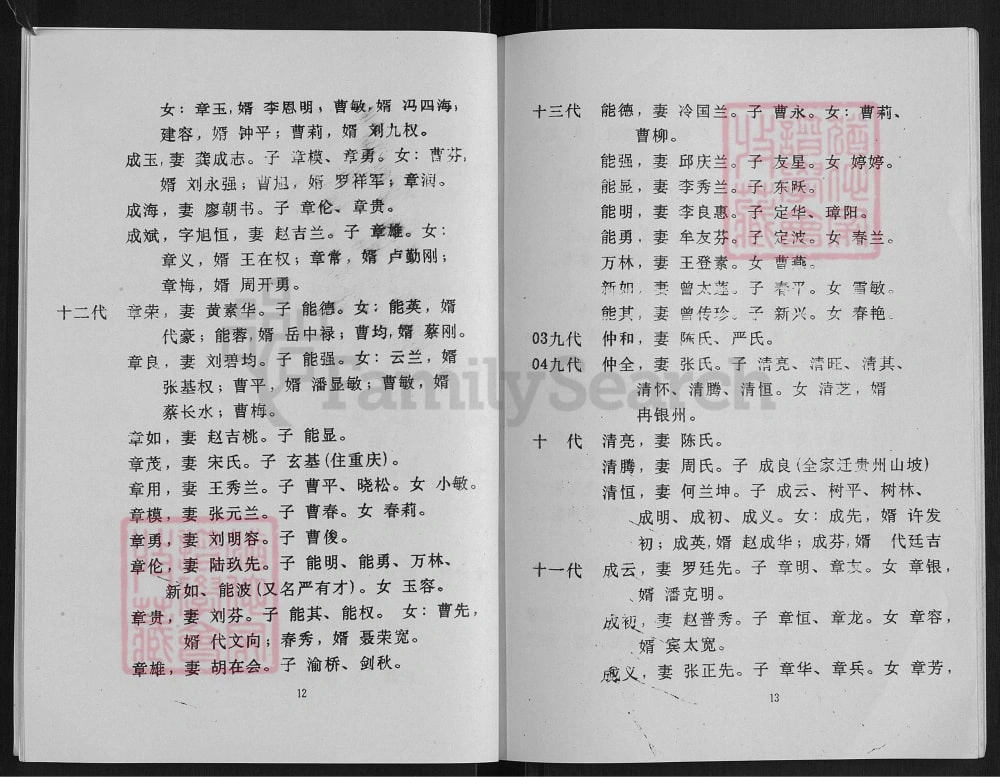 图片[8]-重庆綦江曹氏族谱（谯国堂）电子版PDF下载-中华家谱网