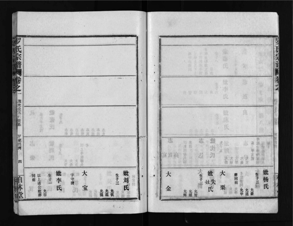 图片[8]-湖北武汉新洲区罗氏宗谱（柏林堂）电子版PDF下载-中华家谱网