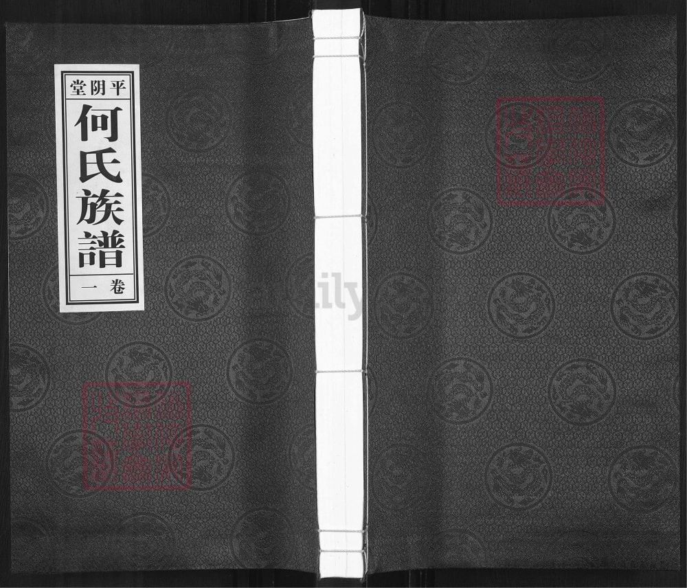 图片[1]-山东济南平阴县何氏族谱（平阴堂）电子版PDF下载-中华家谱网