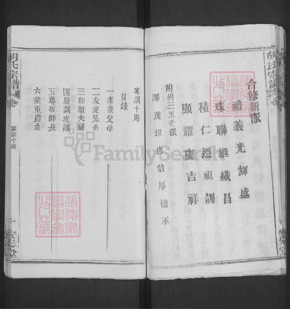 图片[5]-湖北黄冈胡氏宗谱（安定堂）电子版PDF下载-中华家谱网