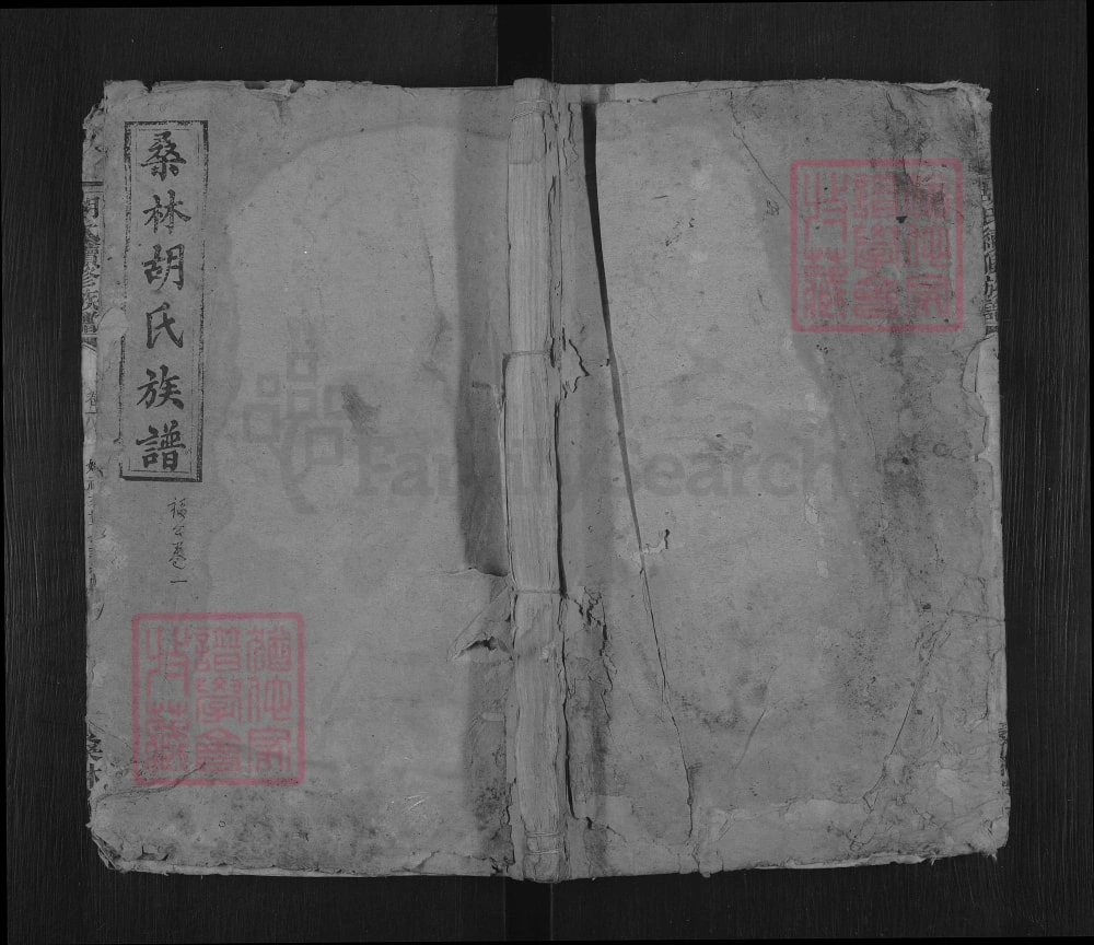 图片[1]-湖南湘乡桑林胡氏族谱（桑林堂）电子版PDF下载-中华家谱网