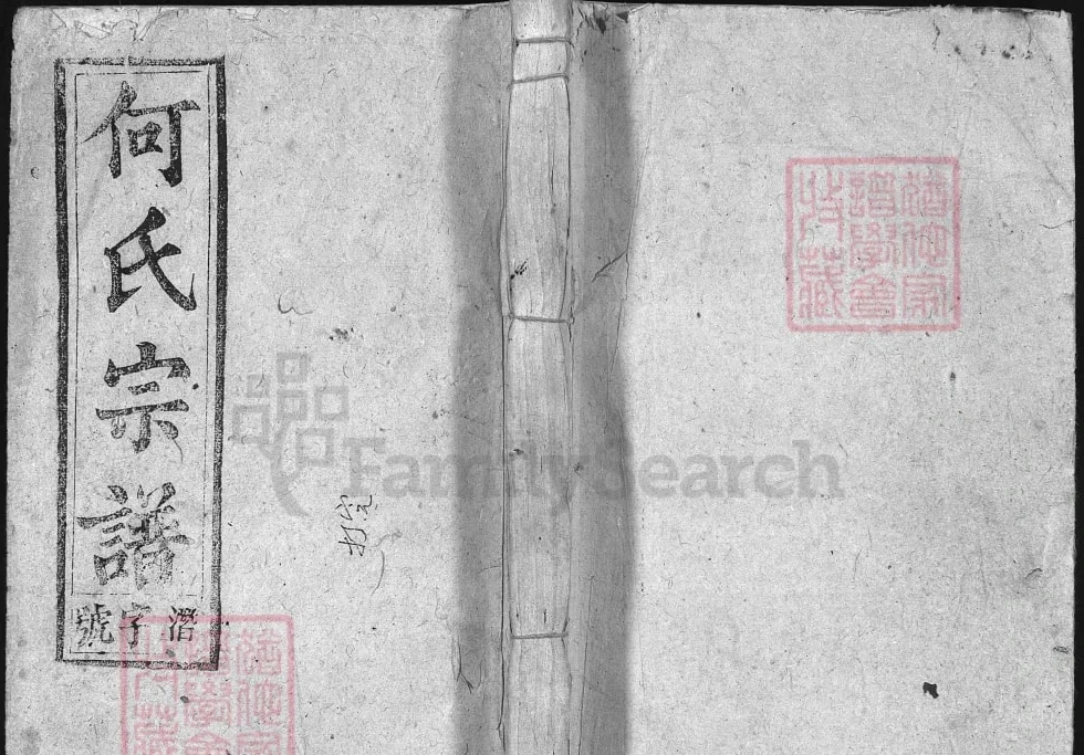 安徽安庆宿松县何氏宗谱（策枚堂）电子版PDF下载-中华家谱网