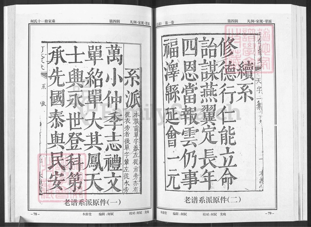 图片[9]-湖北黄冈何氏十一修家乘（本源堂）电子版PDF下载-中华家谱网