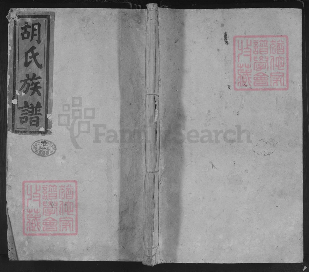 图片[1]-湖南邵阳胡氏族谱（苏湖堂）电子版PDF下载-中华家谱网