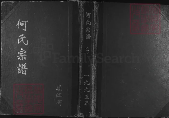 江苏淮安何氏宗谱（三高堂、庐江堂、敦说堂）-中华家谱网
