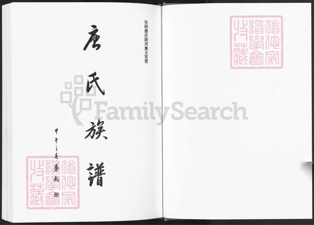 图片[1]-山东菏泽东明唐庄顺河集王官营唐氏族谱电子版PDF下载-中华家谱网