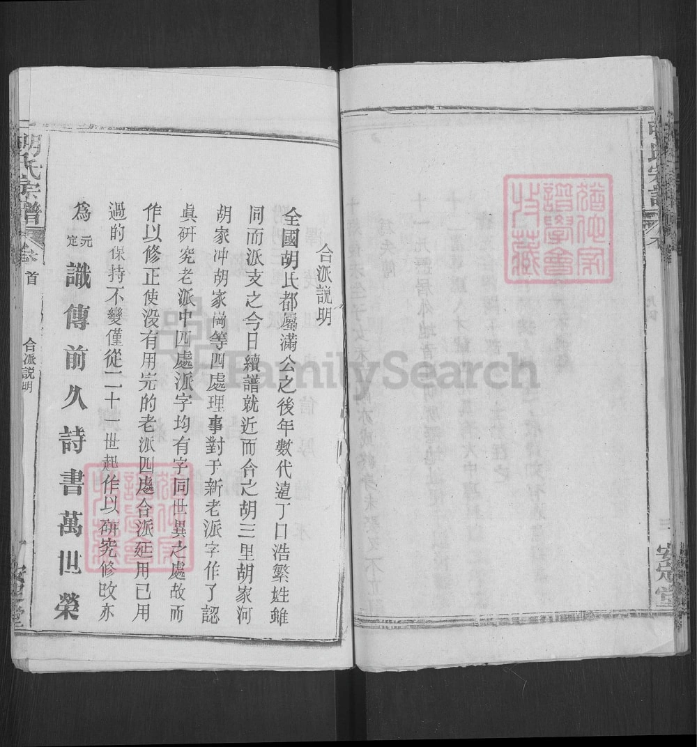 图片[4]-湖北黄冈胡氏宗谱（安定堂）电子版PDF下载-中华家谱网