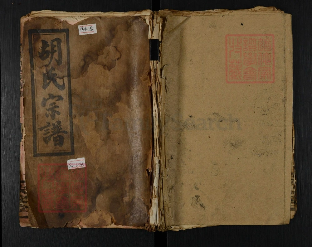 图片[1]-湖北咸宁通城县胡氏宗谱（安定堂）电子版PDF下载-中华家谱网