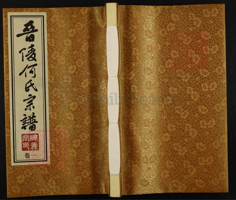 图片[1]-江苏常州晋陵何氏宗谱（让义堂）电子版PDF下载-中华家谱网