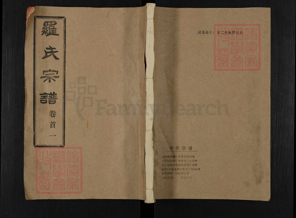 图片[1]-湖北武汉新洲区罗氏宗谱（柏林堂）电子版PDF下载-中华家谱网