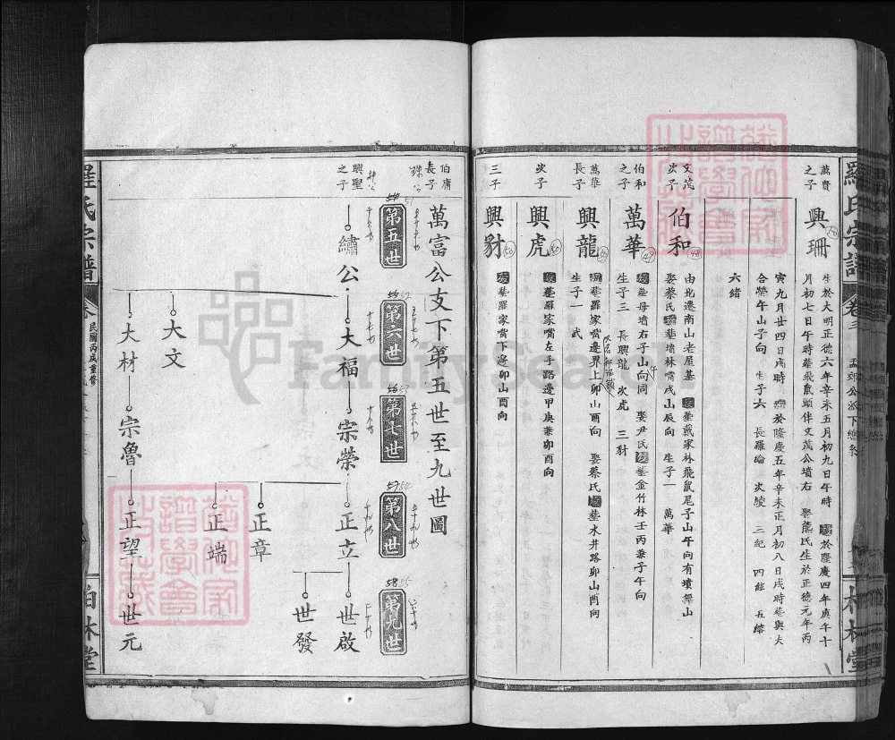图片[7]-湖北大冶罗氏宗谱文茂公支（柏林堂）电子版PDF下载-中华家谱网