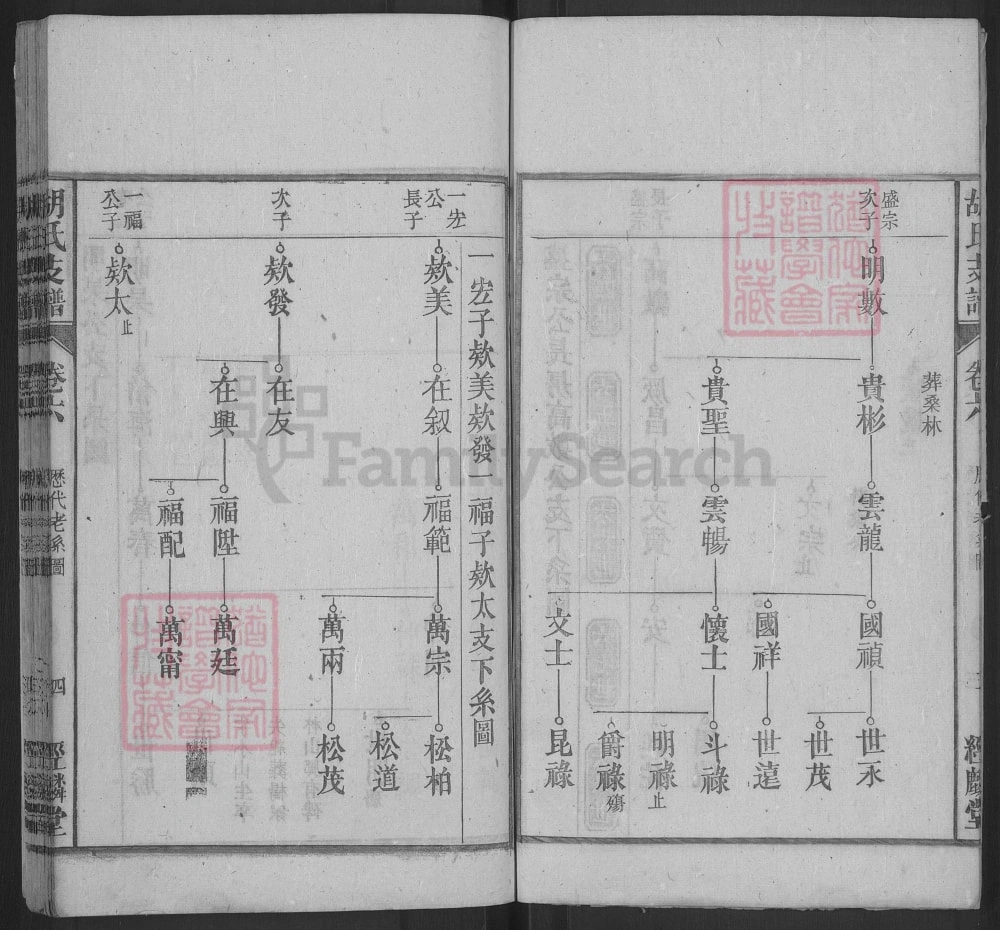 图片[8]-胡氏支谱（经麟堂，安徽桐城、怀宁统谱）电子版PDF下载-中华家谱网
