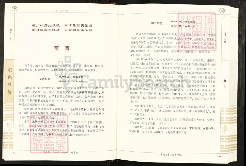 图片[4]-四川巴中南江县胡氏族谱电子版PDF下载-中华家谱网