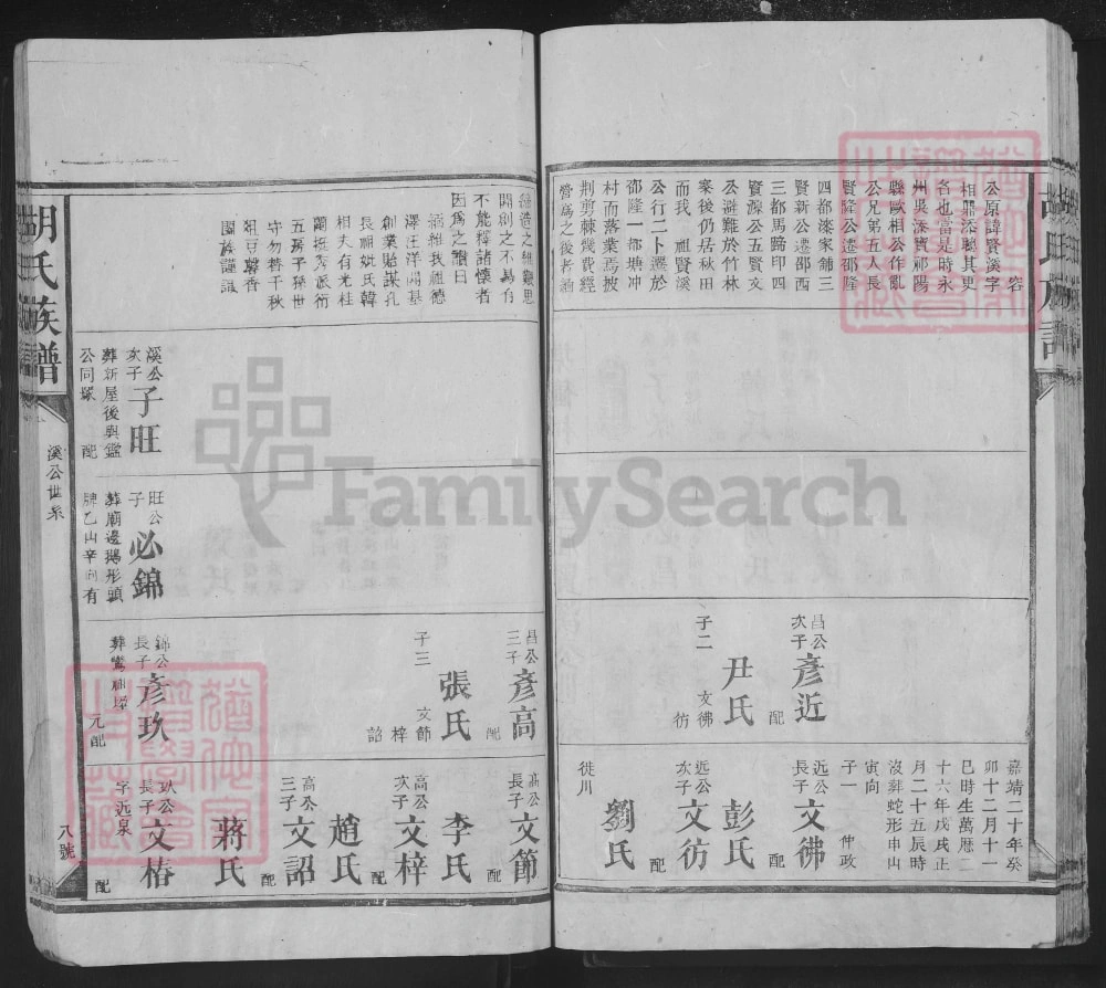 图片[8]-湖南邵阳胡氏族谱（苏湖堂）电子版PDF下载-中华家谱网