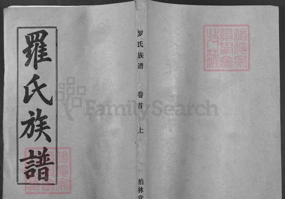 湖北麻城罗氏族谱（柏林堂）电子版PDF下载-中华家谱网
