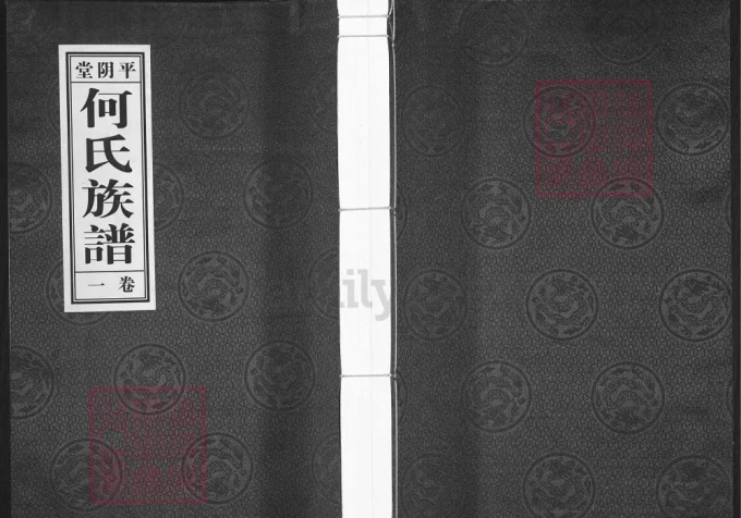 山东济南平阴县何氏族谱（平阴堂）-中华家谱网