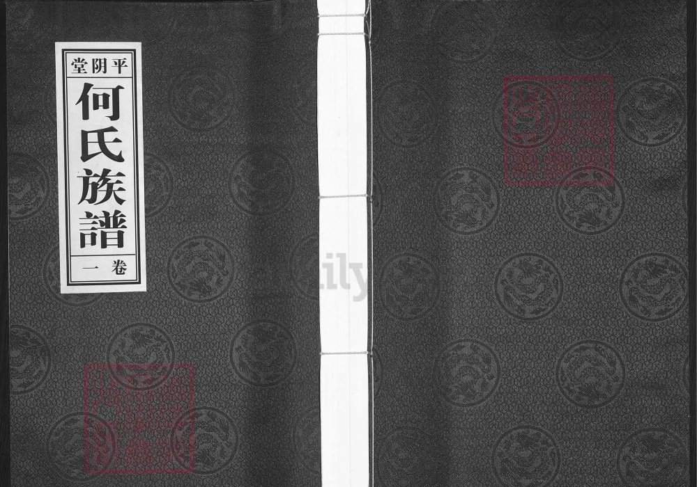 山东济南平阴县何氏族谱（平阴堂）电子版PDF下载-中华家谱网