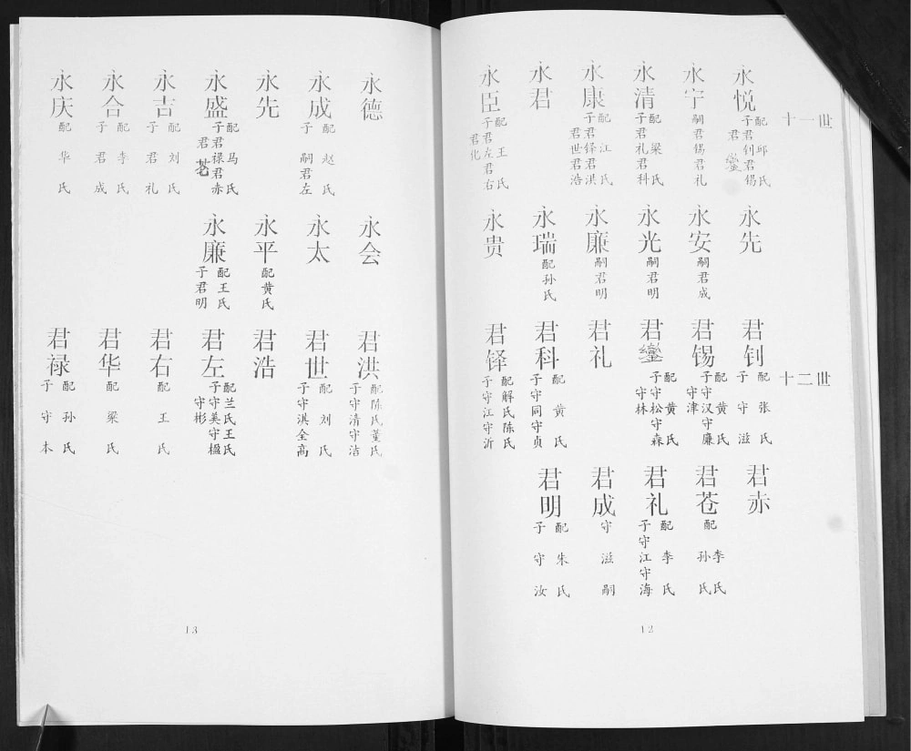 图片[8]-山东青岛即墨区唐氏谱书电子版PDF下载-中华家谱网