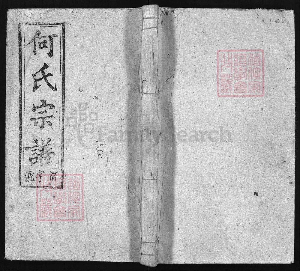 图片[1]-安徽安庆宿松县何氏宗谱（策枚堂）电子版PDF下载-中华家谱网