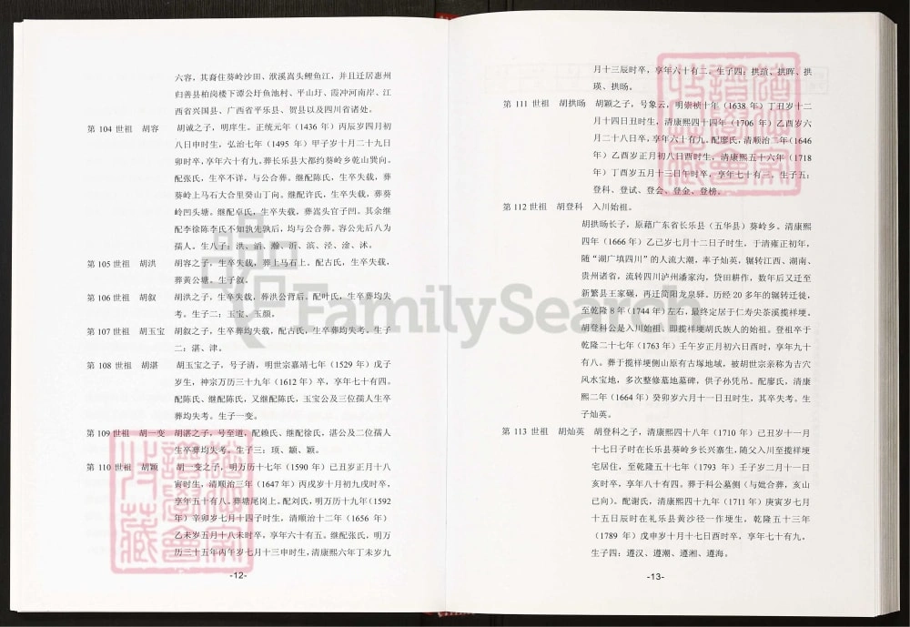 图片[5]-四川眉山仁寿县成都天府新区揽祥埂胡氏族谱电子版PDF下载-中华家谱网