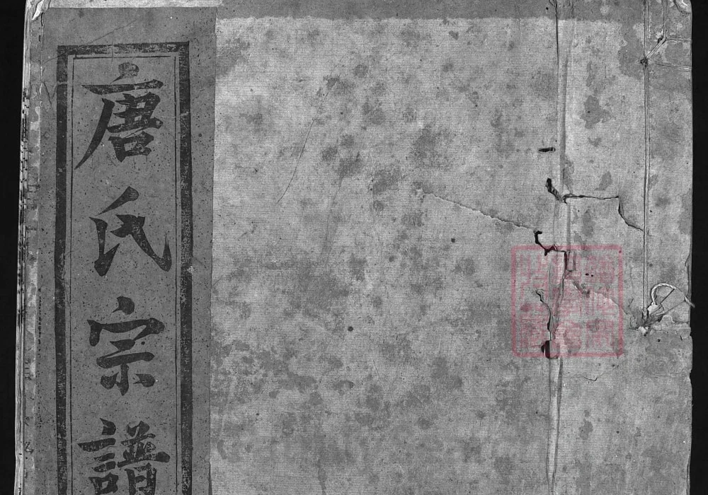 江西抚州南丰唐氏宗谱电子版PDF下载-中华家谱网