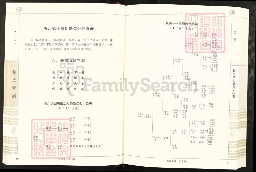 图片[7]-四川巴中南江县胡氏族谱电子版PDF下载-中华家谱网