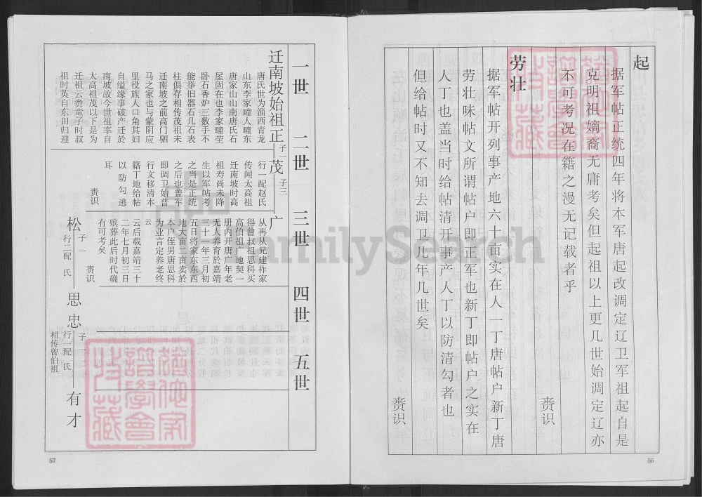 图片[7]-山东淄博唐氏族谱电子版PDF下载-中华家谱网