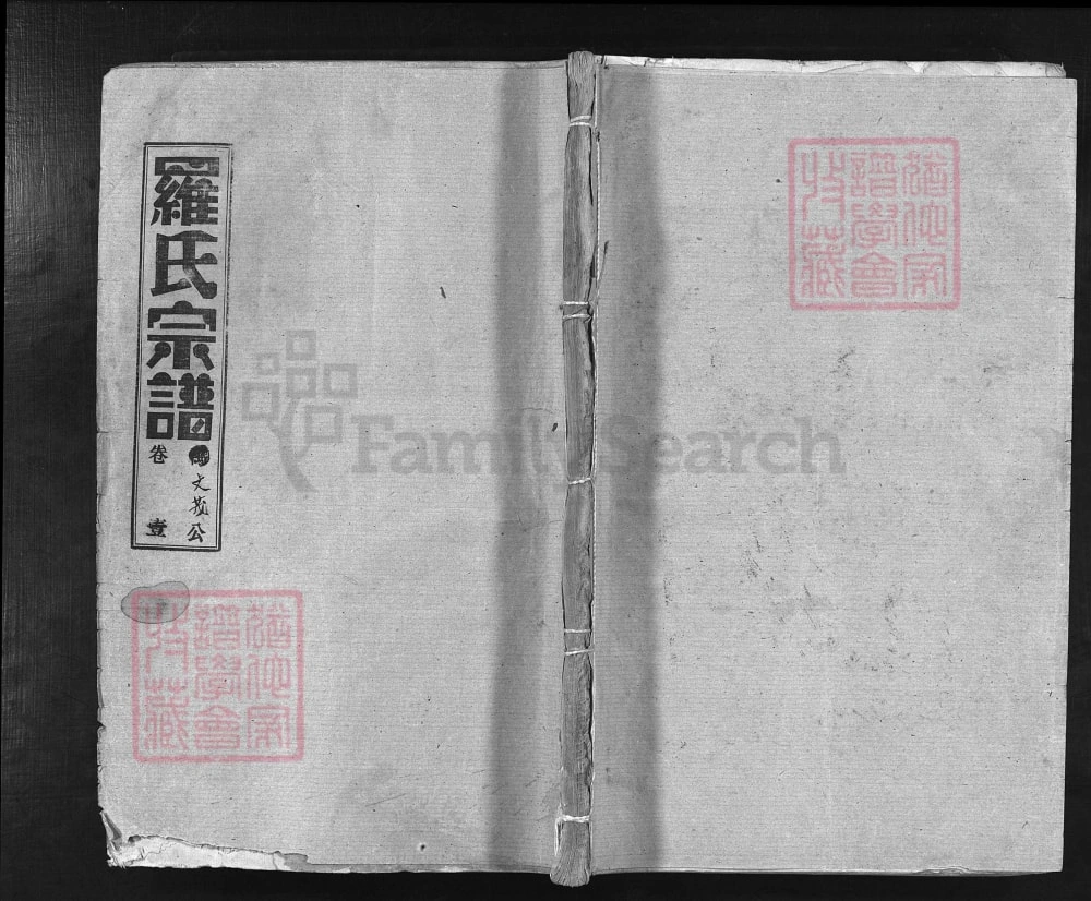 图片[1]-湖北大冶罗氏宗谱文茂公支（柏林堂）电子版PDF下载-中华家谱网