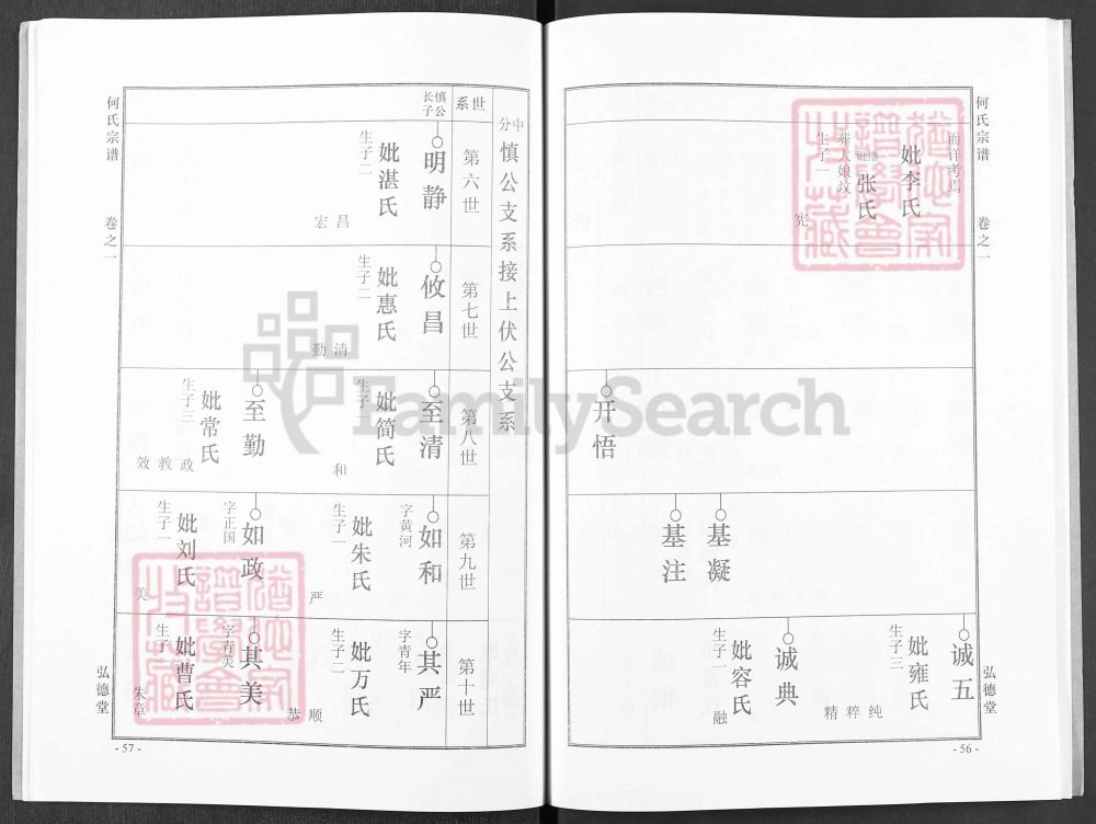 图片[8]-湖北黄冈何氏宗谱（弘德堂、德行堂）电子版PDF下载-中华家谱网