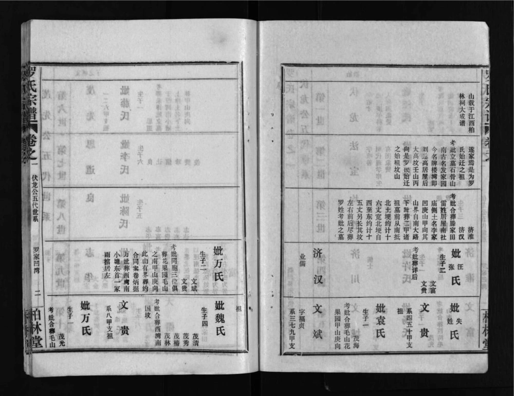 图片[6]-湖北武汉新洲区罗氏宗谱（柏林堂）电子版PDF下载-中华家谱网