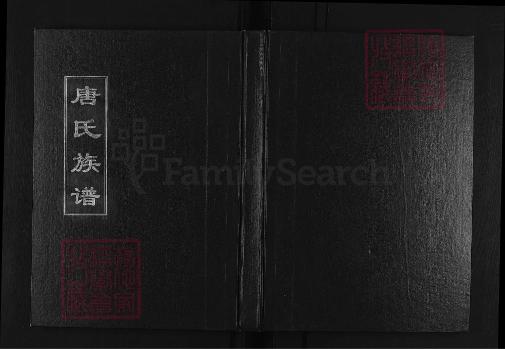 图片[1]-山东淄博唐氏族谱电子版PDF下载-中华家谱网