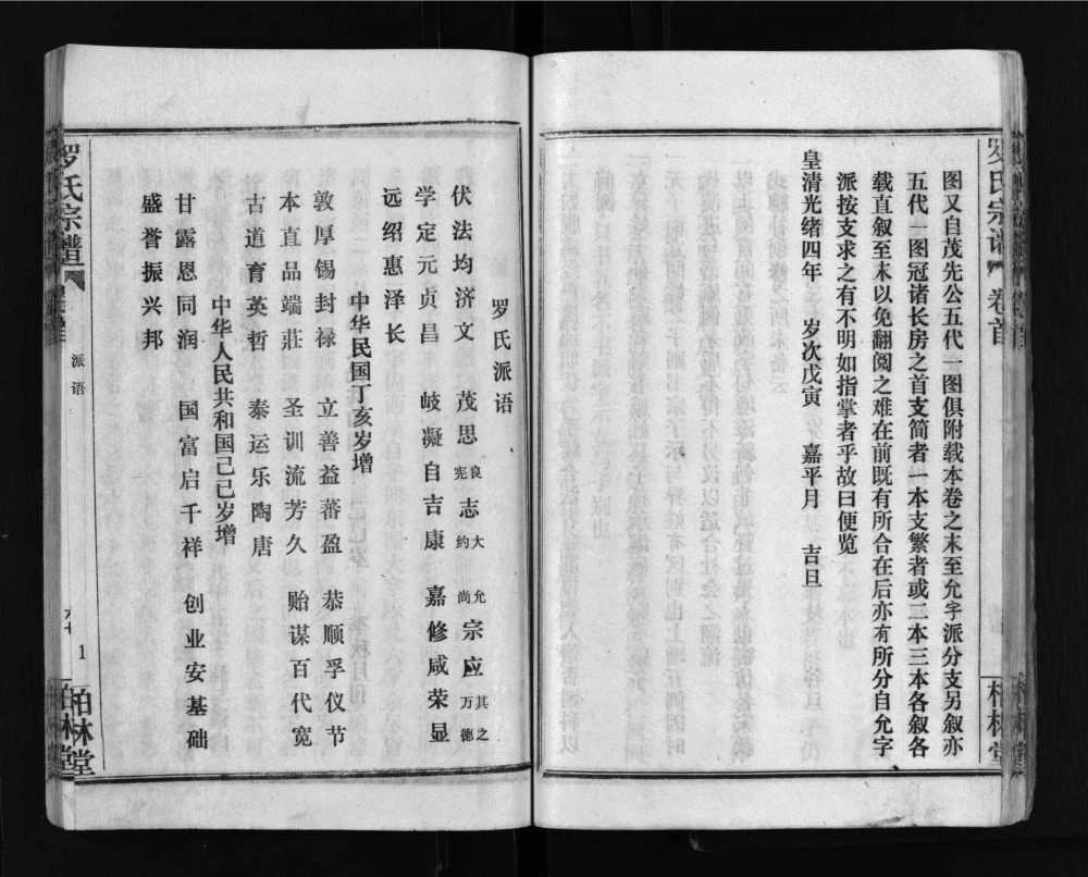 图片[4]-湖北武汉新洲区罗氏宗谱（柏林堂）电子版PDF下载-中华家谱网