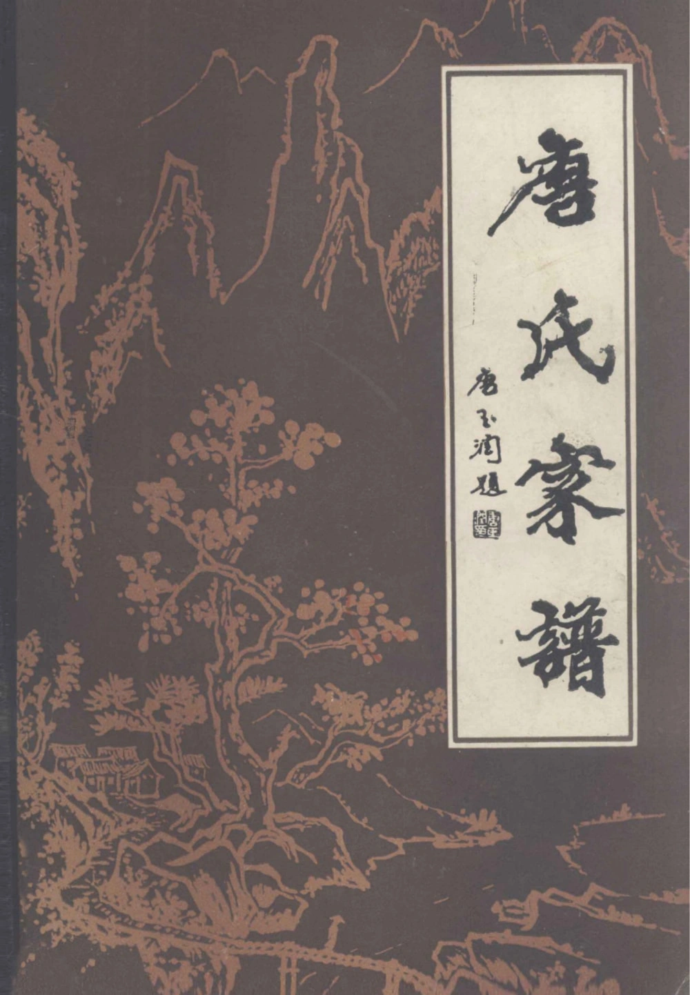 图片[1]-河南周口扶沟县唐氏家谱电子版PDF下载-中华家谱网