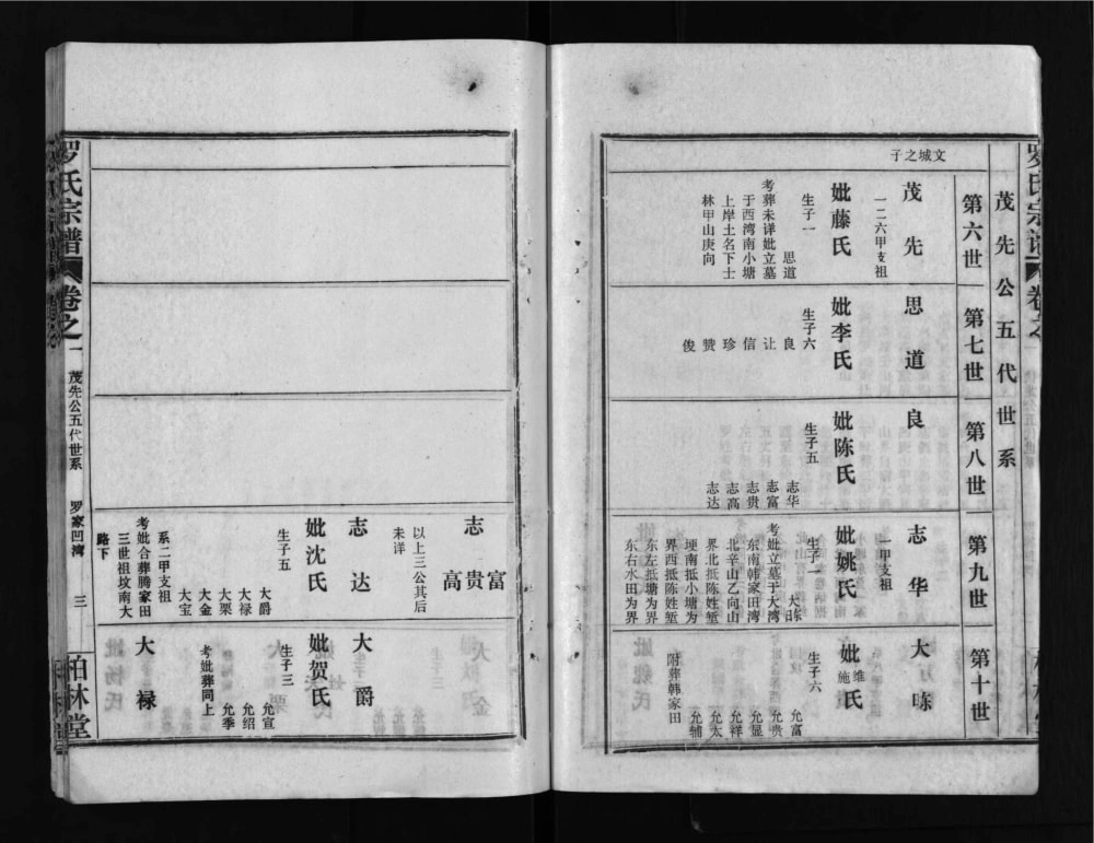 图片[7]-湖北武汉新洲区罗氏宗谱（柏林堂）电子版PDF下载-中华家谱网