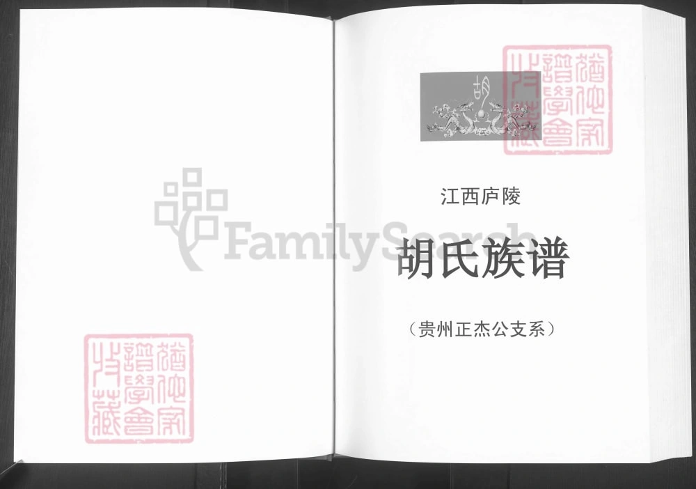 图片[2]-贵州毕节大方县胡氏族谱（贵州正杰公支系）电子版PDF下载-中华家谱网