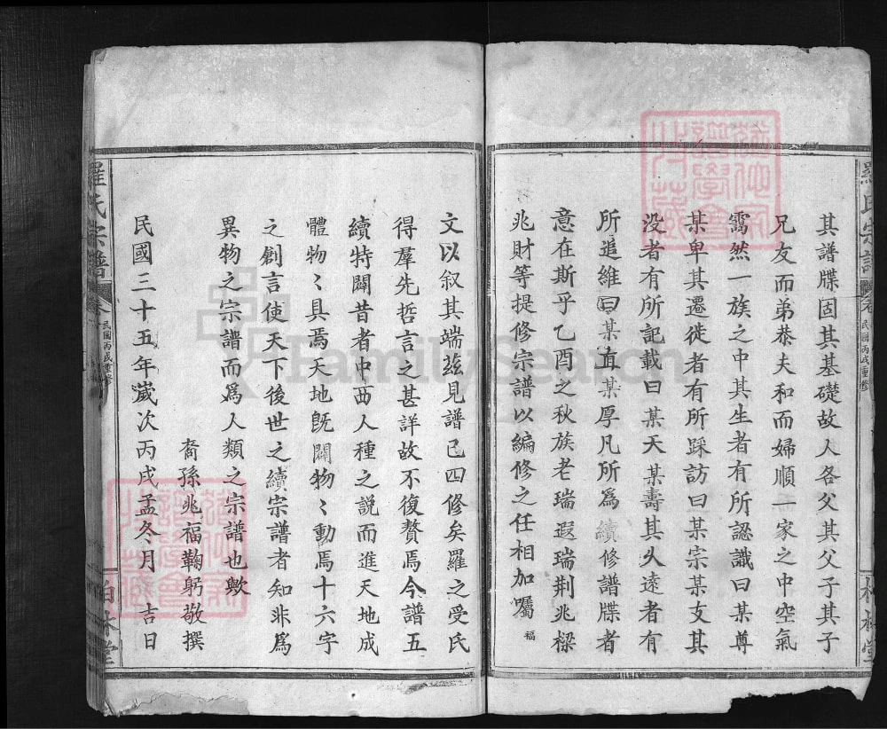 图片[3]-湖北大冶罗氏宗谱文茂公支（柏林堂）电子版PDF下载-中华家谱网