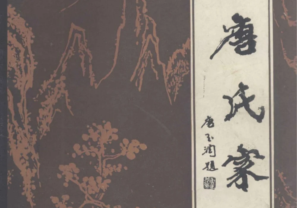 河南周口扶沟县唐氏家谱电子版PDF下载-中华家谱网