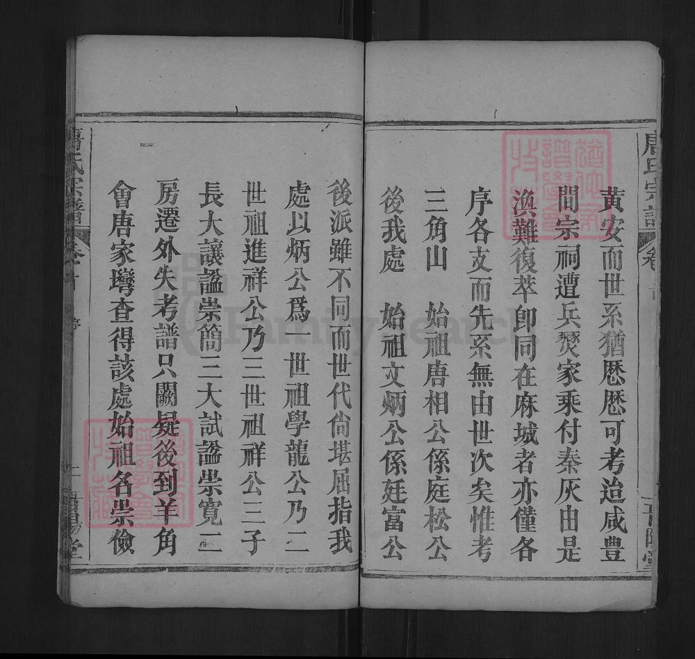 图片[3]-湖北黄冈红安唐氏宗谱（晋阳堂）电子版PDF下载-中华家谱网