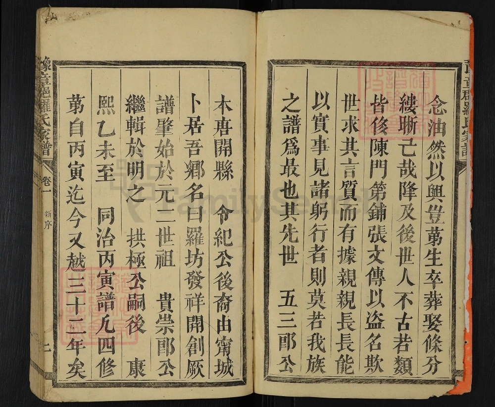 图片[3]-福建宁化豫章郡罗氏家谱电子版PDF下载-中华家谱网