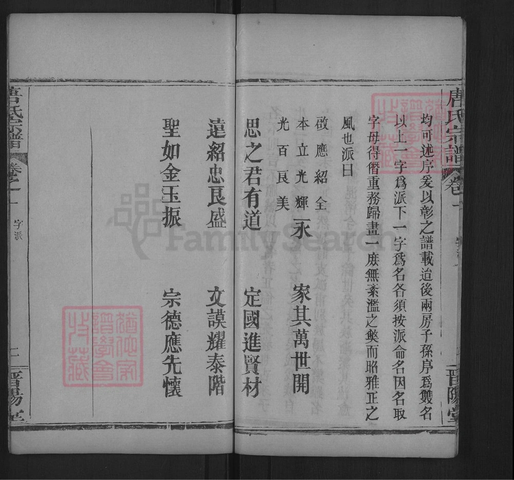 图片[5]-湖北黄冈红安唐氏宗谱（晋阳堂）电子版PDF下载-中华家谱网