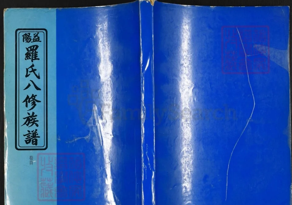 湖南益阳罗氏八修族谱电子版PDF下载-中华家谱网