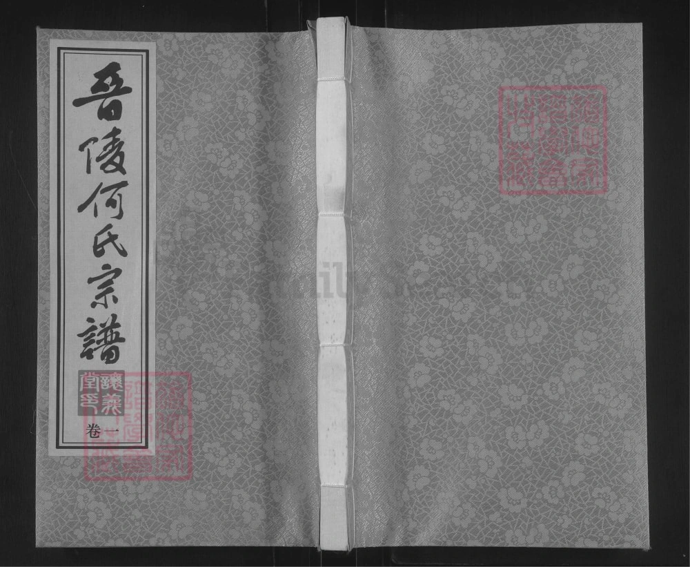 图片[1]-江苏常州晋陵何氏宗谱（让义堂）电子版PDF下载-中华家谱网