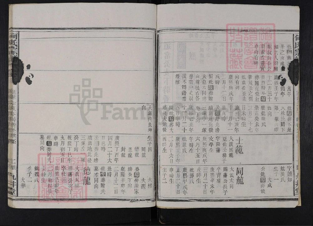 图片[8]-湖北黄冈黄梅县何氏宗谱（九井堂）电子版PDF下载-中华家谱网
