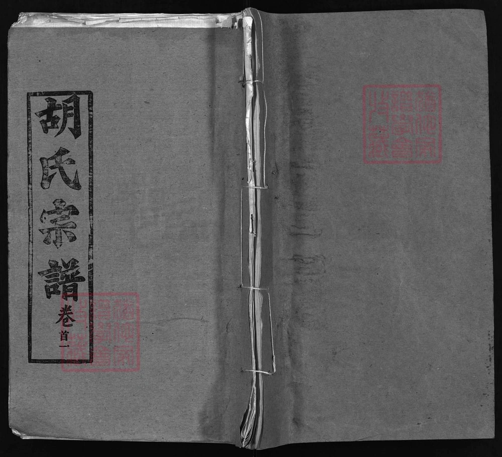 图片[1]-湖北黄冈胡氏宗谱（安定堂，1995年本）电子版PDF下载-中华家谱网