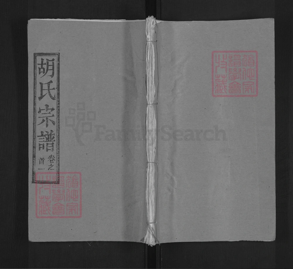 图片[1]-湖北黄冈胡氏宗谱（安定堂）电子版PDF下载-中华家谱网