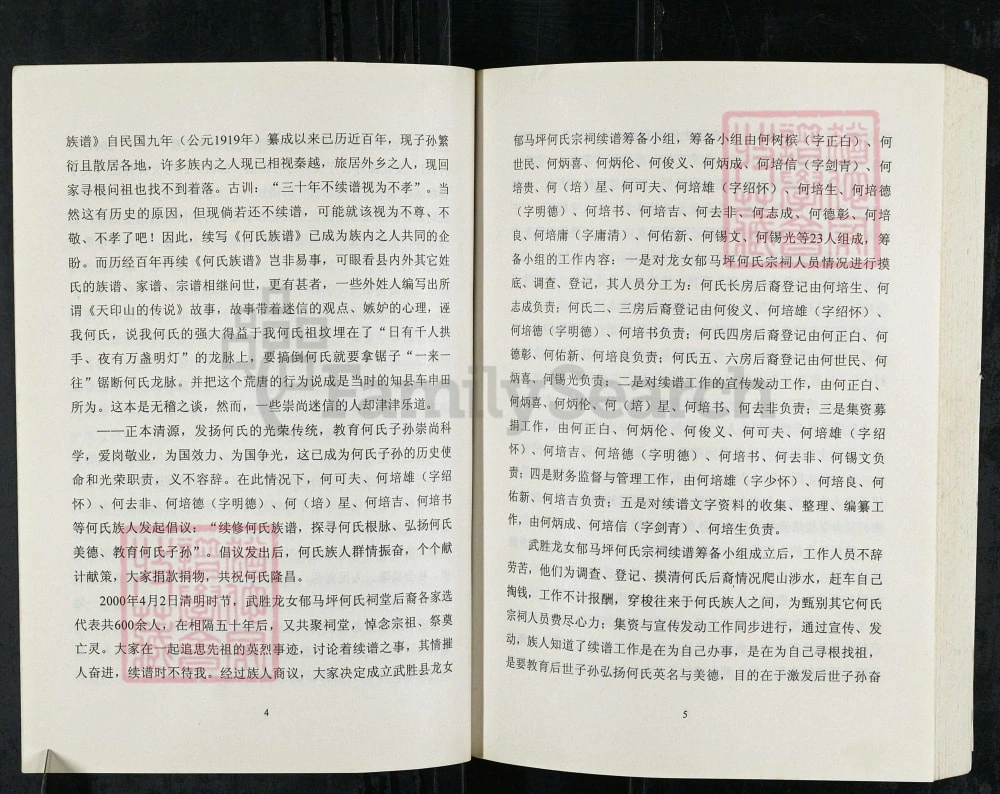 图片[4]-四川广安武胜县龙女郁马坪何氏宗祠何氏族谱电子版PDF下载-中华家谱网