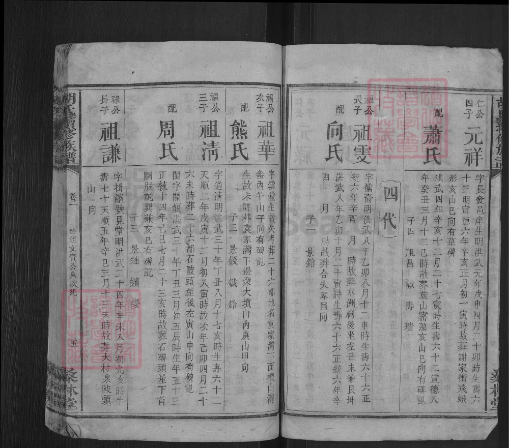 图片[8]-湖南湘乡桑林胡氏族谱（桑林堂）电子版PDF下载-中华家谱网