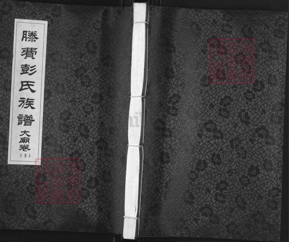 图片[1]-山东滕州滕费彭氏族谱（陇西堂）电子版PDF下载-中华家谱网